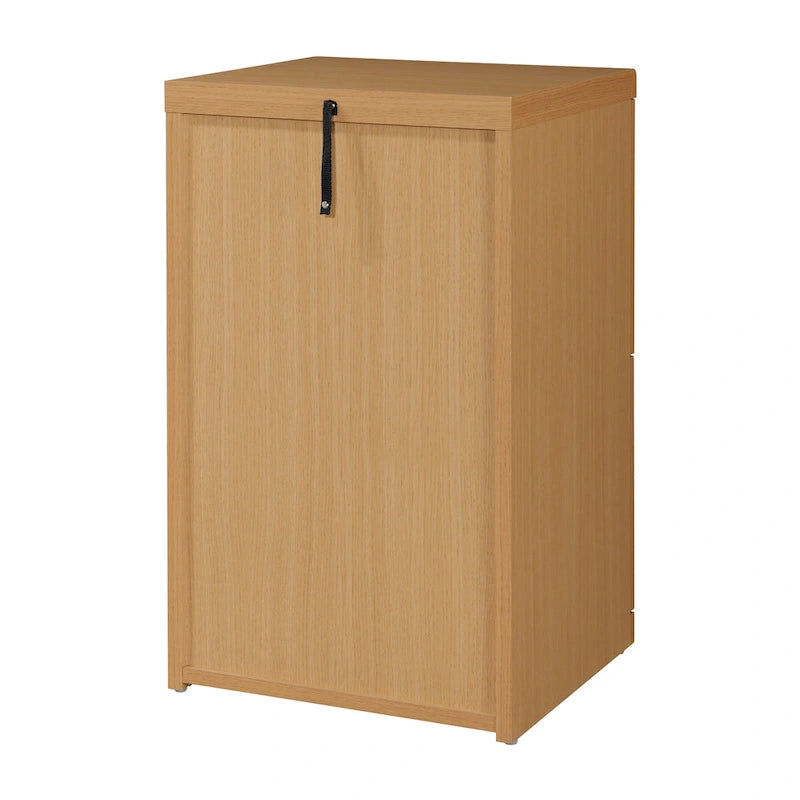 2-Drawer Locking Vertical File Cabinet