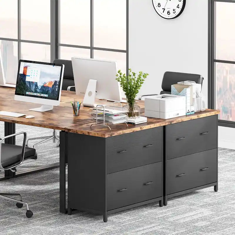 2-Drawer Lateral File Cabinet for Home & Office